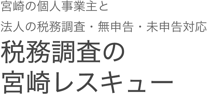税務調査　東京　千葉　女性　無申告　脱税　税務署　税理士